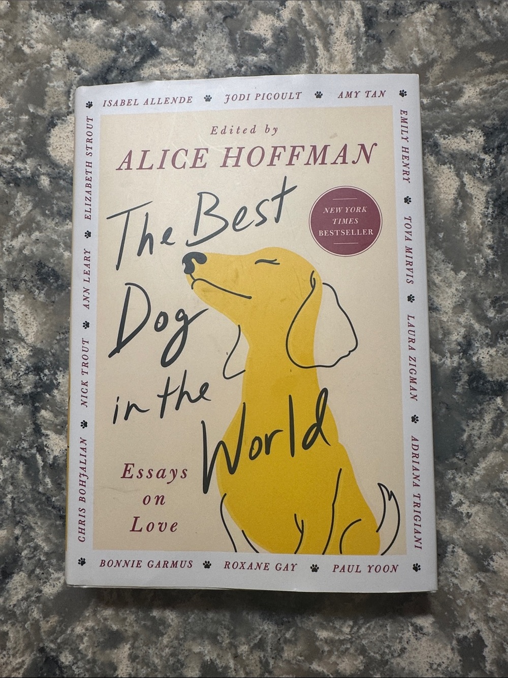 Alice Hoffman The Best Dog in the World – Yellow Cover Edition